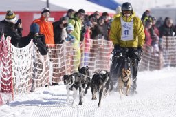 Lenk 2013